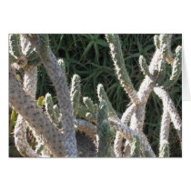 Cacti cards