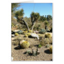Cacti cards by moxieann Cacti cards