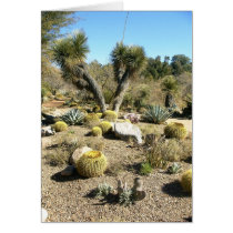 Cacti cards