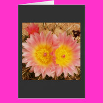 Cacti Flower Twins Card by magentaraven Cacti Flower Twins Card