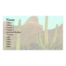 Cacti In Hottest Regions Business Card
