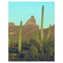 Cacti In Hottest Regions Flyer