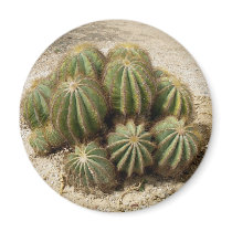 Cacti magnets by Gilliand_Photo Cacti magnets