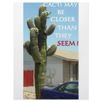 CACTI MAY BE CLOSER THAN THEY SEEM LETTERHEAD TEMPLATE
