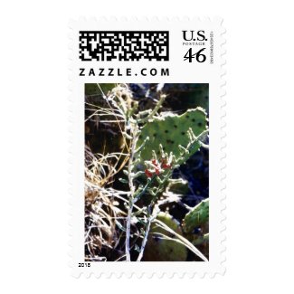 Cacti stamp