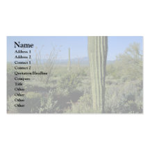 Cacti Stands Business Card Template