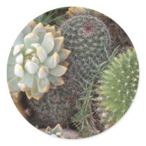 cacti stickers