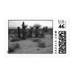 Cactus 1987 Stamp
