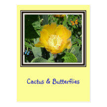 Cactus and Butterflies Postcards