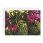 Cactus and Pink Flowers in Rough Pastels Announcement