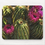 Cactus and Pink Flowers in Rough Pastels Mousepads