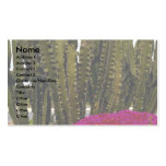 Cactus and tropical flowers Desert Business Card