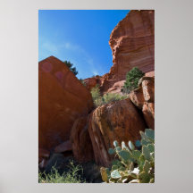 Cactus at Palatki Rocks 3312 Posters
