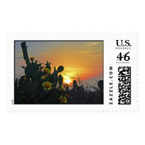 Cactus at Sunset Stamp
