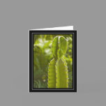 Cactus Blank Note Card