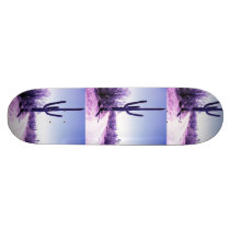 cactus board skate decks