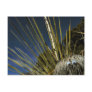 cactus buddy #1 postcard