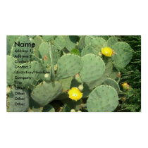 Cactus business cards
