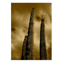 cactus business cards