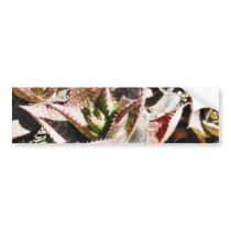 Cactus Cacti bumper stickers