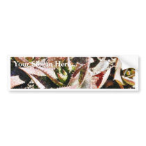 Cactus Cacti bumper stickers