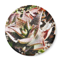 Cactus Cacti Refrigerator Magnet