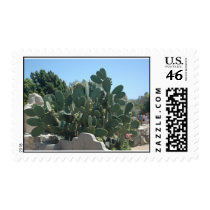 Cactus/Cacti postage by bainsgate Cactus/Cacti postage