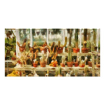 Cactus - Cactus for sale Personalized Photo Card