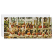 Cactus - Cactus for sale Customized Rack Card