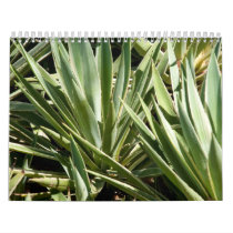 Cactus calendar