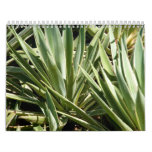 Cactus calendar