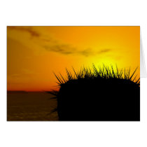 Cactus cards by woodengraphics Cactus cards