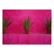 cactus cards
