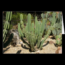 Cactus cards by Firecrackinmama Cactus cards