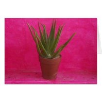 Cactus cards