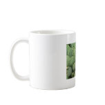 Cactus Coffee Mug