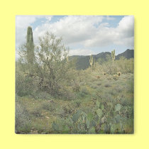 Cactus Coloring Desert Refrigerator Magnet magnets