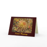 dahlias, cacti, flower, flowers, flora, floral,