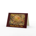 dahlias, cacti, flower, flowers, flora, floral,
