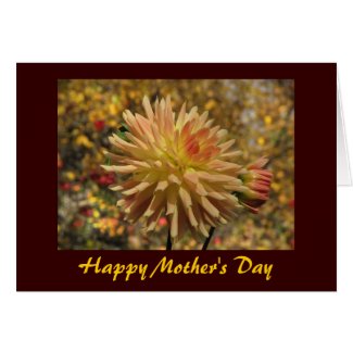 Cactus Dahlia Mothers Day Greeting Cards