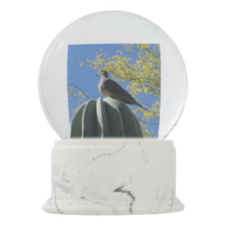 Dove Snow Globes | Zazzle