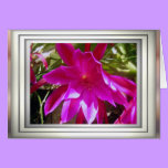 CACTUS FLOWER1 cards