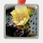 Cactus Flower - (1280x1024)_1 Ornament
