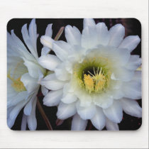 Cactus Flower 4355 Mousepad