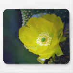 Cactus flower and meaning mousepad