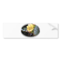 Cactus Flower bumper stickers