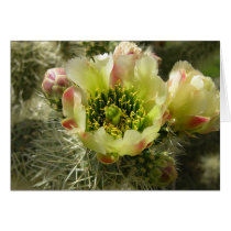 Cactus Flower cards