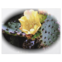 Cactus Flower flyers