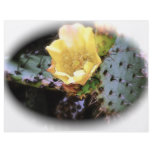 Cactus Flower Personalized Flyer