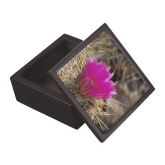 Cactus Flower Gift Box Premium Gift Box